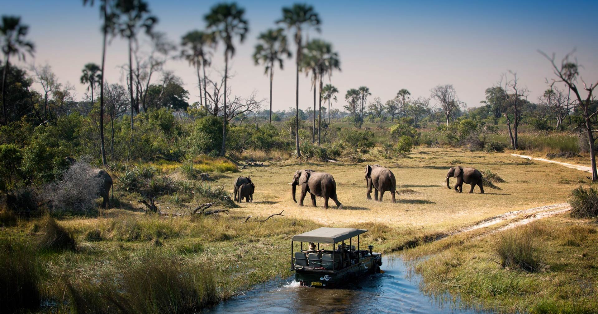 taman-nasional-chobe-surga-bagi-penggemar-satwa-liar-di-botswana